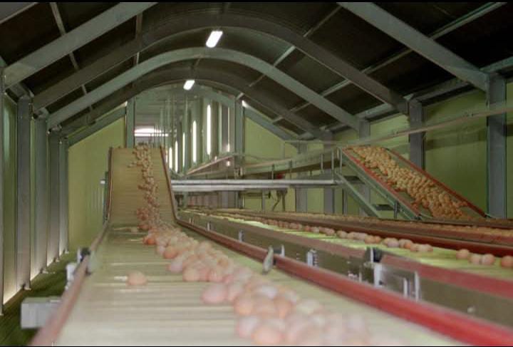 Completed poultry farm project