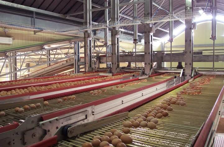 Completed poultry farm project